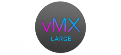 Cisco Meraki vMX – Large