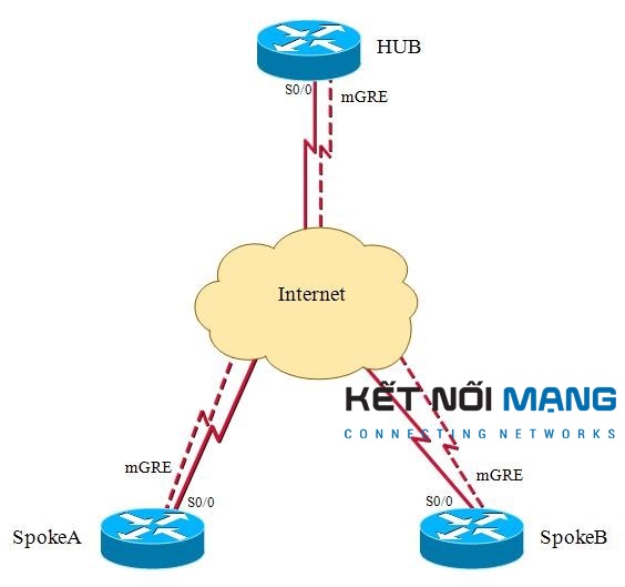 Mô hình DM VPN